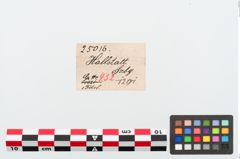 Etiketten zu Bronzekahnfibel (NHMW-PRAE-025016)